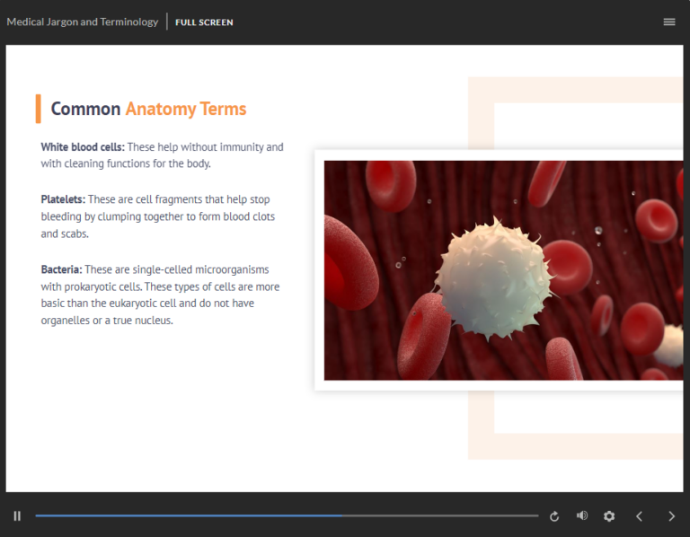 Communication in Care Training Course