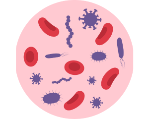Sepsis Management Course